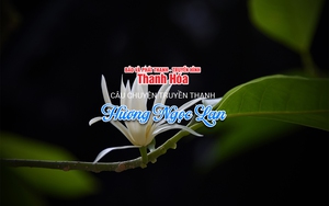 [Podcast] Hương Ngọc Lan | Câu chuyện truyền thanh