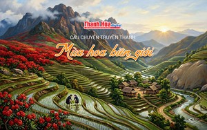 [Podcast] M&ugrave;a hoa bi&ecirc;n giới | C&acirc;u chuyện truyền thanh