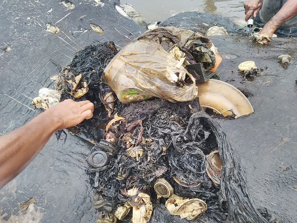 Cá nhà táng chết dạt vào bờ với 5,9 kg rác nhựa trong bụng - Ảnh 4. Cá nhà táng chết dạt vào bờ với 5,9 kg rác nhựa trong bụng - Ảnh 4.
