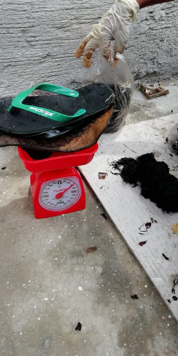 Cá nhà táng chết dạt vào bờ với 5,9 kg rác nhựa trong bụng - Ảnh 3. Cá nhà táng chết dạt vào bờ với 5,9 kg rác nhựa trong bụng - Ảnh 3.