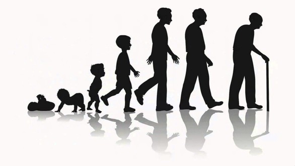 Con người c&oacute; thể sống tối đa bao nhi&ecirc;u năm? - Ảnh 1.