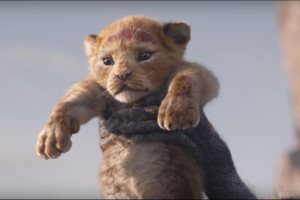 Sư tử Simba làm tan chảy trái tim khán giả trong phiên bản mới - Ảnh 1. Sư tử Simba làm tan chảy trái tim khán giả trong phiên bản mới - Ảnh 1.