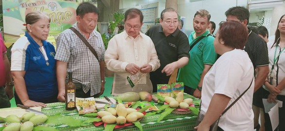 Nông dân Philippines trúng mùa xoài, bán rẻ như cho - Ảnh 1.