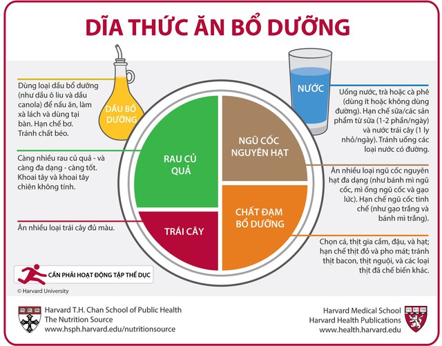 Dĩa thức ăn bổ dưỡng của chuy&ecirc;n gia dinh dưỡng Harvard - Ảnh 1.