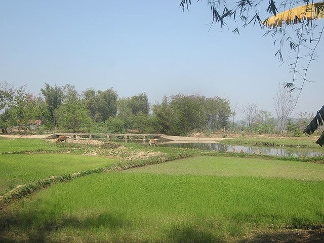 lak2.jpg lak2.jpg
