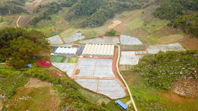 Sống ảo tại vườn dâu tây lớn nhất miền Bắc - 1 Sống ảo tại vườn dâu tây lớn nhất miền Bắc - 1