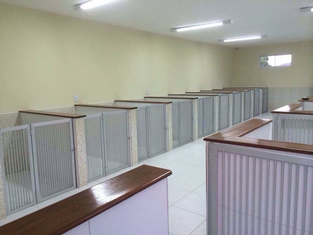 Kh&oacute;c r&ograve;ng v&igrave; bỏ tiền triệu cũng kh&ocirc;ng c&oacute; chỗ gửi th&uacute; cưng dịp Tết - 7