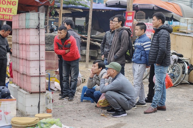 Kh&aacute;m ph&aacute; chợ chim độc đ&aacute;o, lớn nhất H&agrave; Nội ng&agrave;y cuối năm - 11