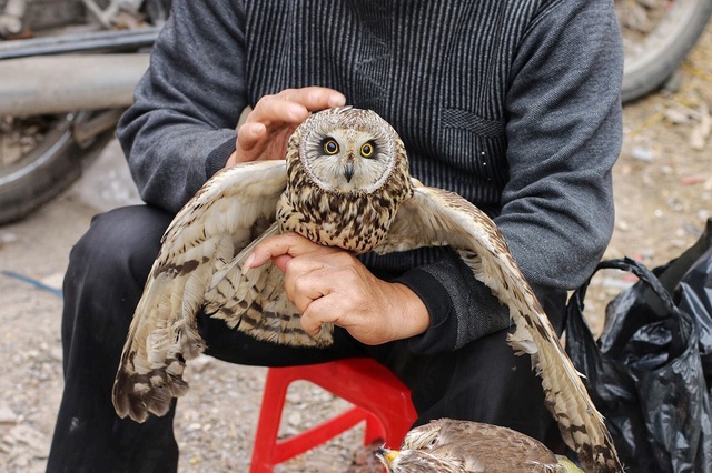 Kh&aacute;m ph&aacute; chợ chim độc đ&aacute;o, lớn nhất H&agrave; Nội ng&agrave;y cuối năm - 5