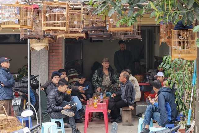 Kh&aacute;m ph&aacute; chợ chim độc đ&aacute;o, lớn nhất H&agrave; Nội ng&agrave;y cuối năm - 7
