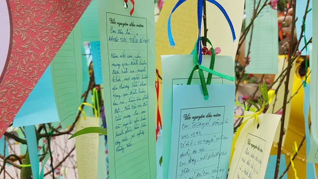 Người d&acirc;n Huế, Đắc Lắc đến ch&ugrave;a cầu an m&ugrave;ng 1 Tết - 10