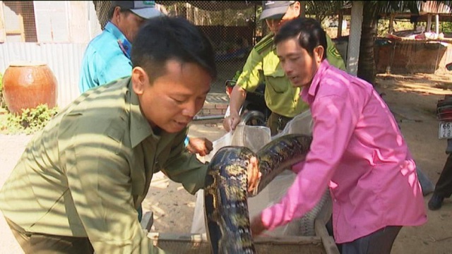 Dua tran dat vo bao dem di tha ve tu nhien.JPG Dua tran dat vo bao dem di tha ve tu nhien.JPG
