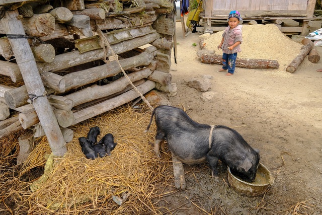 Những bức ảnh khiến ai cũng muốn đi Hà Giang tháng 3 này - 4 Những bức ảnh khiến ai cũng muốn đi Hà Giang tháng 3 này - 4