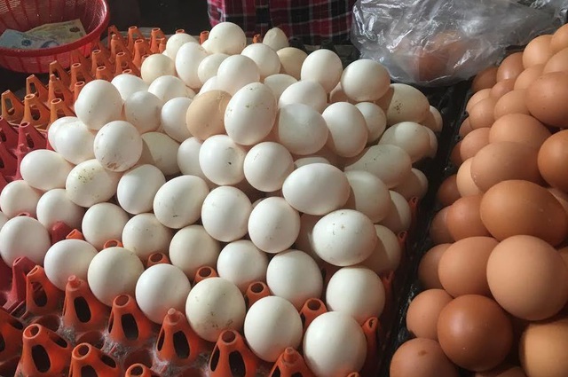 Người chăn nu&ocirc;i đang thua lỗ nặng do gi&aacute; trứng gia cầm giảm mạnh.