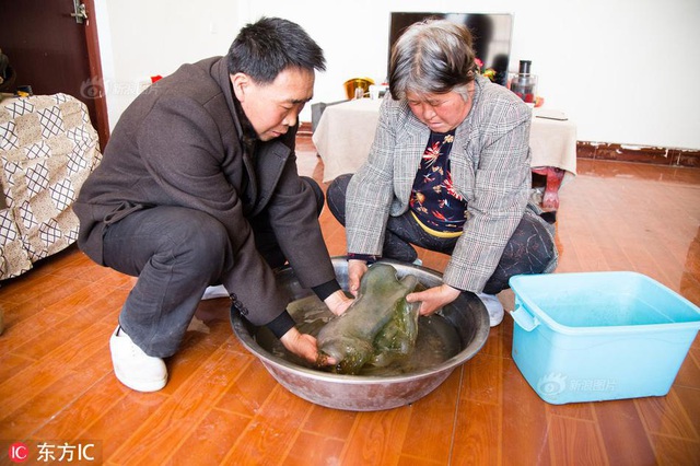 Trung Quốc: Phát hiện “khối thịt bầy nhầy”, không ngờ là vật quý hơn 35 tỷ đồng? - 2 Trung Quốc: Phát hiện “khối thịt bầy nhầy”, không ngờ là vật quý hơn 35 tỷ đồng? - 2