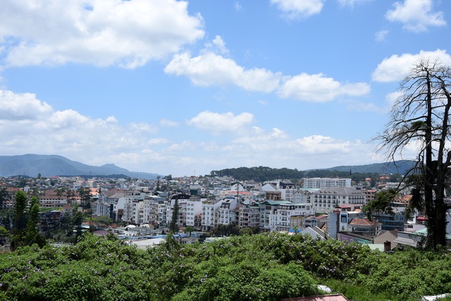 Cận cảnh Dinh tỉnh trưởng - di sản hoang phế ở Đà Lạt - 3 Cận cảnh Dinh tỉnh trưởng - di sản hoang phế ở Đà Lạt - 3