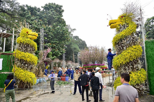 Hoa anh đào Nhật Bản khoe sắc giữa lòng Hà Nội - 3 Hoa anh đào Nhật Bản khoe sắc giữa lòng Hà Nội - 3