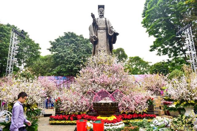 Hoa anh đào Nhật Bản khoe sắc giữa lòng Hà Nội - 1 Hoa anh đào Nhật Bản khoe sắc giữa lòng Hà Nội - 1