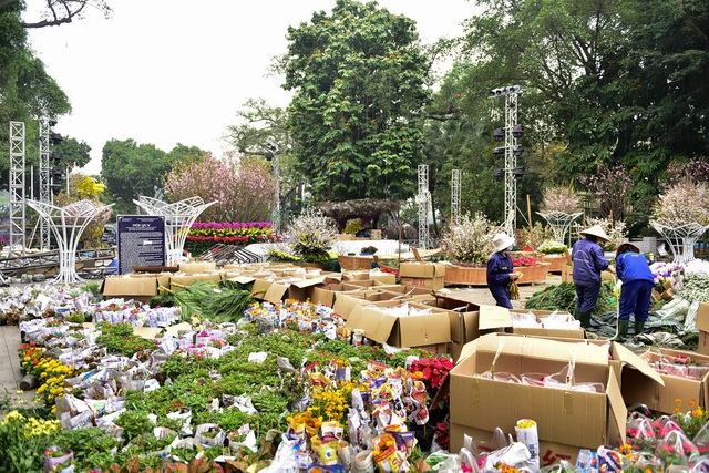 Hoa anh đào Nhật Bản khoe sắc giữa lòng Hà Nội - 15 Hoa anh đào Nhật Bản khoe sắc giữa lòng Hà Nội - 15