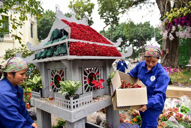 Hoa anh đào Nhật Bản khoe sắc giữa lòng Hà Nội - 13 Hoa anh đào Nhật Bản khoe sắc giữa lòng Hà Nội - 13