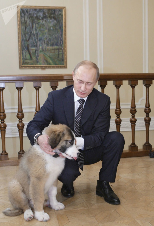 Những món quà bốn chân đặc biệt của Tổng thống Nga Putin - 5 Những món quà bốn chân đặc biệt của Tổng thống Nga Putin - 5