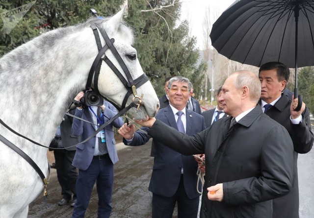 Những món quà bốn chân đặc biệt của Tổng thống Nga Putin - 2 Những món quà bốn chân đặc biệt của Tổng thống Nga Putin - 2