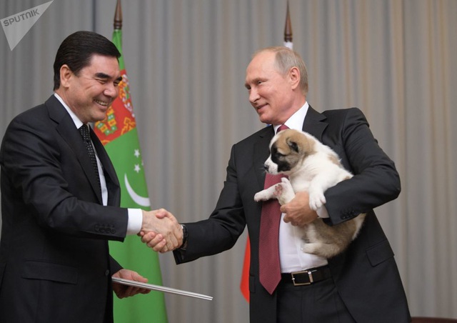 Những món quà bốn chân đặc biệt của Tổng thống Nga Putin - 7 Những món quà bốn chân đặc biệt của Tổng thống Nga Putin - 7