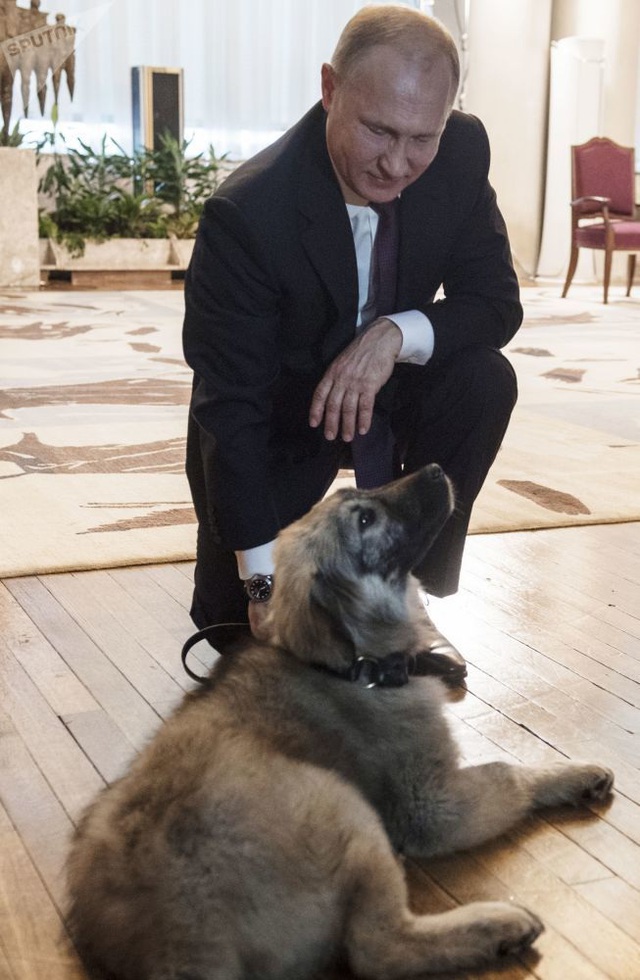 Những món quà bốn chân đặc biệt của Tổng thống Nga Putin - 8 Những món quà bốn chân đặc biệt của Tổng thống Nga Putin - 8