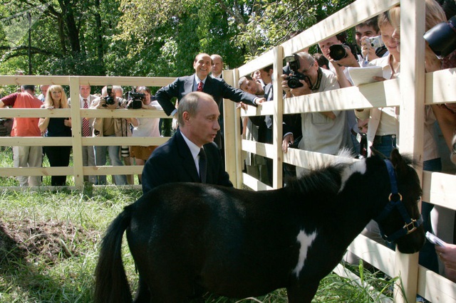 Những món quà bốn chân đặc biệt của Tổng thống Nga Putin - 9 Những món quà bốn chân đặc biệt của Tổng thống Nga Putin - 9