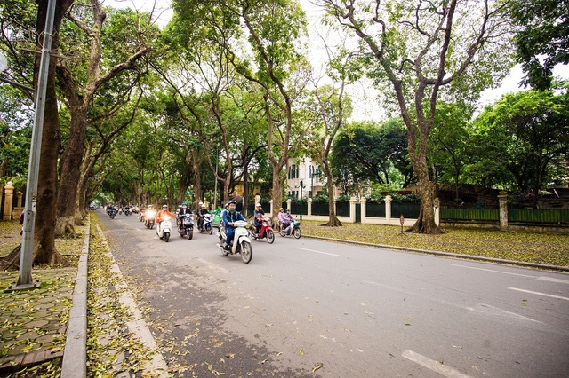 Ngẩn ngơ trước vẻ đẹp của phố phường Hà Nội mùa lá rụng - 13