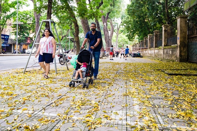 Ngẩn ngơ trước vẻ đẹp của phố phường Hà Nội mùa lá rụng - 7
