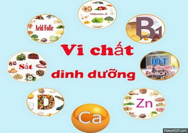 Chất dinh dưỡng vi lượng và sức khỏe - 1 Chất dinh dưỡng vi lượng và sức khỏe - 1