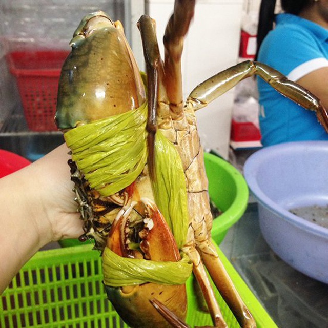 T&ocirc;m Alaska, t&ocirc;m h&ugrave;m baby, cua C&agrave; Mau tăng gi&aacute; v&ugrave;n vụt vẫn ch&aacute;y h&agrave;ng - 1