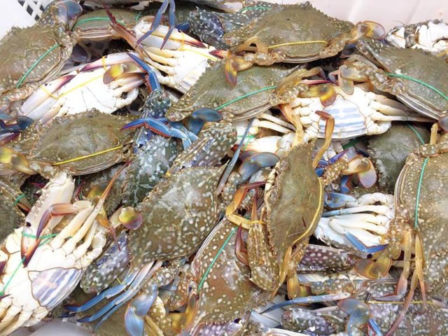 T&ocirc;m Alaska, t&ocirc;m h&ugrave;m baby, cua C&agrave; Mau tăng gi&aacute; v&ugrave;n vụt vẫn ch&aacute;y h&agrave;ng - 2