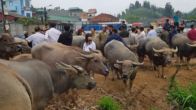 Những phiên chợ chỉ bán một món hàng duy nhất ở vùng cao Tây Bắc - 1 Những phiên chợ chỉ bán một món hàng duy nhất ở vùng cao Tây Bắc - 1