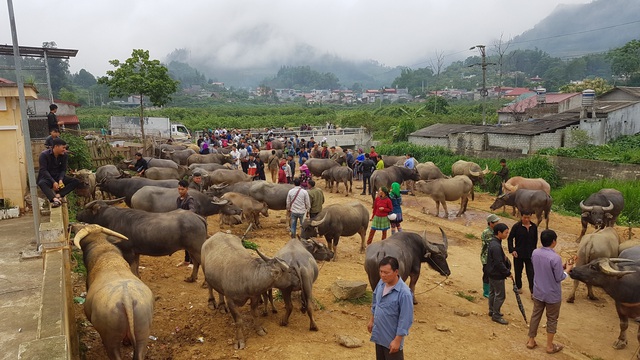 Những phiên chợ chỉ bán một món hàng duy nhất ở vùng cao Tây Bắc - 2 Những phiên chợ chỉ bán một món hàng duy nhất ở vùng cao Tây Bắc - 2