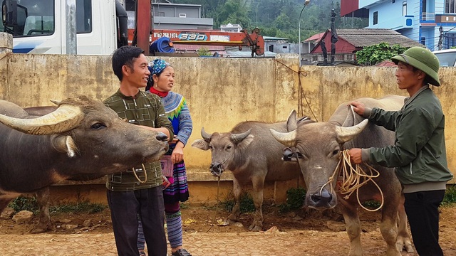 Những phiên chợ chỉ bán một món hàng duy nhất ở vùng cao Tây Bắc - 3 Những phiên chợ chỉ bán một món hàng duy nhất ở vùng cao Tây Bắc - 3