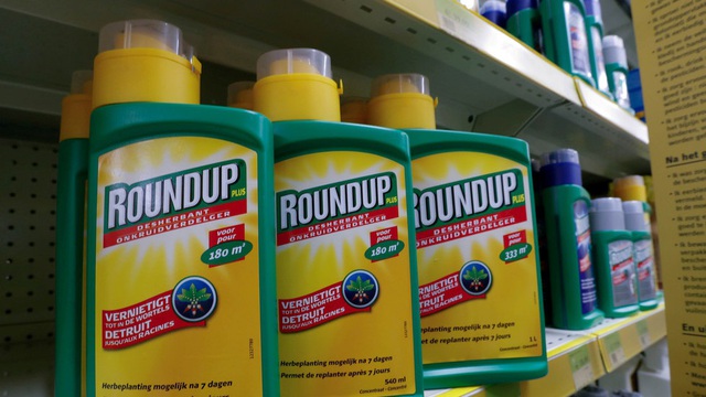 Monsanto bị yêu cầu bồi thường 2 tỷ USD cho cặp đôi ung thư - 1 Monsanto bị yêu cầu bồi thường 2 tỷ USD cho cặp đôi ung thư - 1