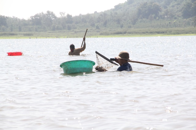 Đổ xô đi đãi hến mùa nước cạn ở hồ Ea Kao - 3