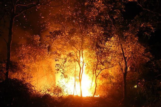 Cháy rừng, nhiều nhà dân sơ tán, hàng trăm người dập lửa trong đêm - 2