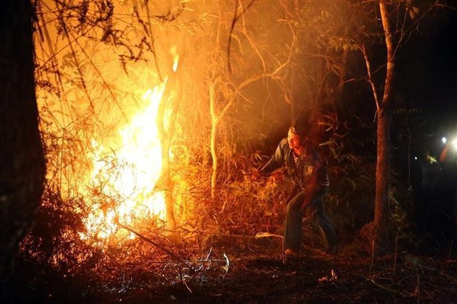 Cháy rừng, nhiều nhà dân sơ tán, hàng trăm người dập lửa trong đêm - 4