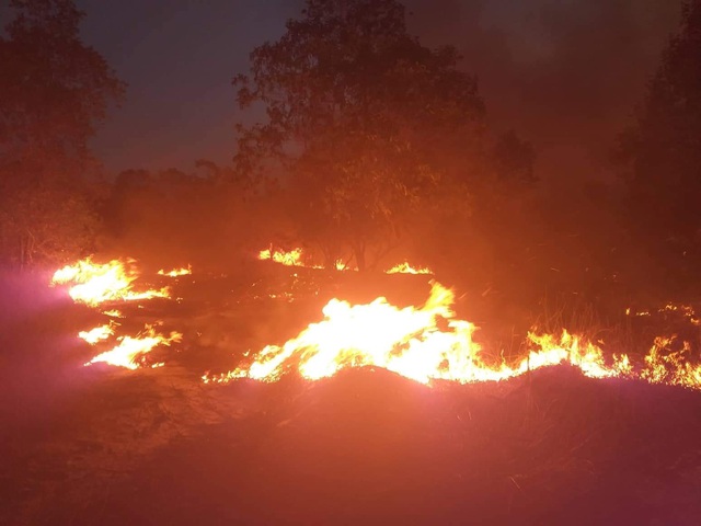 15ha rừng bị thiêu rụi sau 5 giờ hỏa hoạn - 4