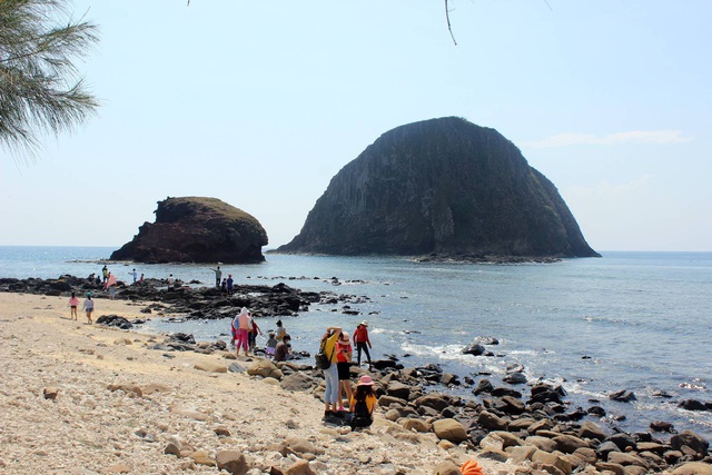 Nhiều rạn san hô đẹp ở Phú Yên đang bị khai thác triệt để - 2 Nhiều rạn san hô đẹp ở Phú Yên đang bị khai thác triệt để - 2