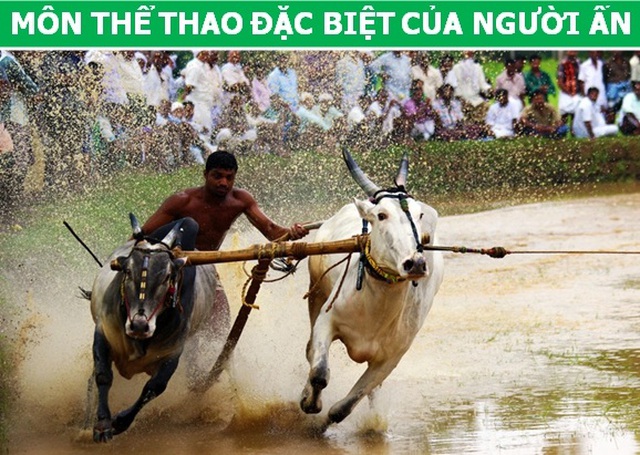 Những điều kỳ lạ ở Ấn Độ khiến du khách phải bất ngờ  - 3