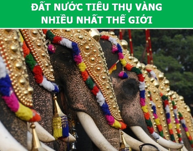 Những điều kỳ lạ ở Ấn Độ khiến du khách phải bất ngờ  - 7