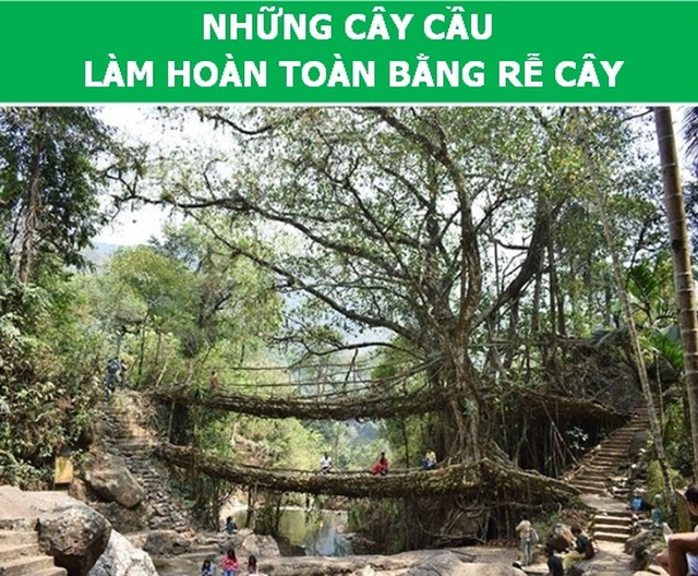 Những điều kỳ lạ ở Ấn Độ khiến du khách phải bất ngờ  - 8
