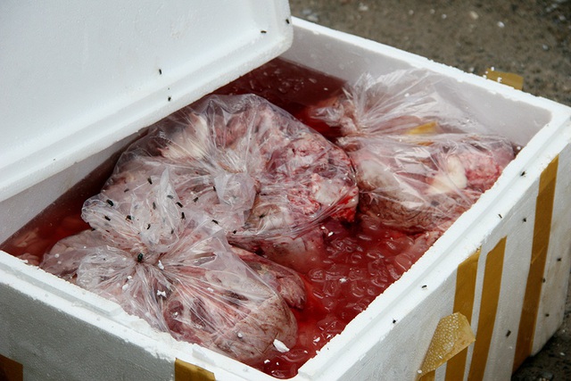 Mở túi nilon chứa 600kg thực phẩm trên xe khách… bốc mùi hôi thối, ruồi bu kín - 2