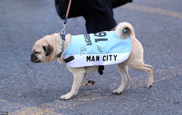 Man City mang các cúp diễu hành quanh thành phố Manchester - 20