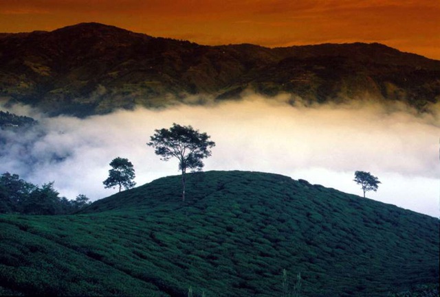 Vẻ đẹp ít người biết tới ở vùng đất kỳ lạ nhất thế giới - 8 Vẻ đẹp ít người biết tới ở vùng đất kỳ lạ nhất thế giới - 8