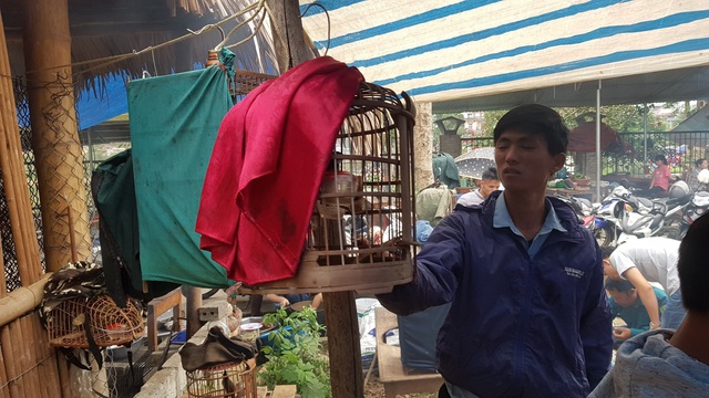 Những phiên chợ chỉ bán một món hàng duy nhất ở vùng cao Tây Bắc - 11 Những phiên chợ chỉ bán một món hàng duy nhất ở vùng cao Tây Bắc - 11